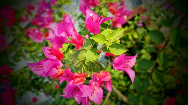 Être tendance : accompagner son salon au fil des saisons