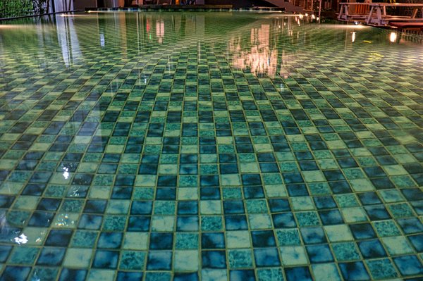 Cultivez vos propres plantes médicinales : guide d'entretien